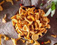 Comment préparer, nettoyer et cuire les girolles ?