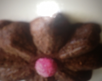 Les sablés au chocolat