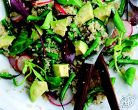 Le Quinoa est délicieux en salade et vraiment facile à préparer. Essayez cette recette qui combine des radis croquants, des haricots verts et des avocats Hass péruviens…