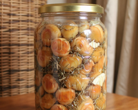 Conserve de sanguins à l'huile