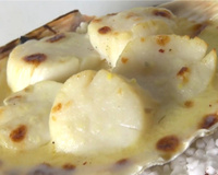 Coquilles Saint-Jacques gratinées dans la coquille