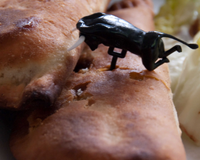 Empanadillas espagnols