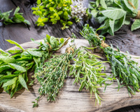 Persil, basilic, coriandre… l’astuce pour les garder frais beaucoup plus longtemps