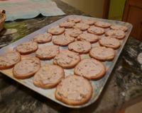 Rillettes de thon, à servir frais sur des toasts pour un apéro