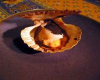 "Je l'ai réalisée avec les délicieuses coquilles de la Rade de Brest, un gisement assez modeste, elles ne sont vendues que localement à ma connaissance. Comptez-en trois…