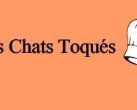 Les chats toqués