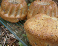 Vous le savez , j'adore les moelleux et je les aime encore plus lorsqu'ils sont léger pour le corps et léger en bouche , pour ceux ci , j'ai choisi d'utiliser des abricots…