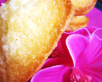 Madeleines moelleuses aux fraises séchées