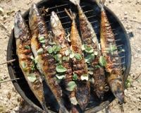 5 poissons encore meilleurs au BBQ