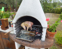 Cochon de lait à la broche (grill)
