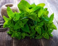 Ce simple geste recommandé par une MOF primeur libère tout le potentiel de la menthe fraîche