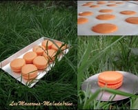 Le Macaron Mandarine
