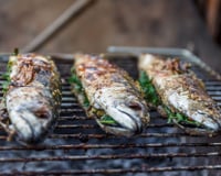 Maquereau au barbecue