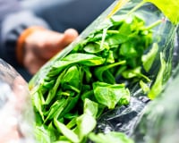 Rappel produit : prudence si vous avez acheté cette salade en sachet chez Carrefour, elle est contaminée par la salmonelle
