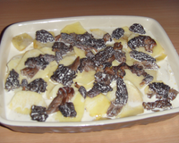 Gratin de pommes de terre aux morilles