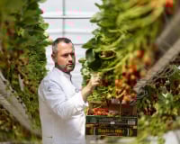 "Ils sont en train de mourir à petit feu" : le cri d’alerte de David Gallienne sur la santé mentale en cuisine