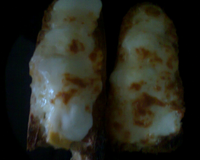 Tartine aux 3 fromages