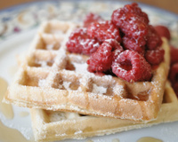 Gaufres au Companion