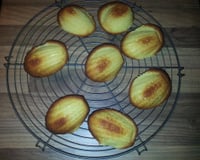 Veritable madeleine de Commercy