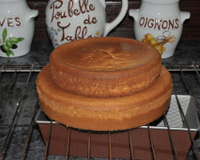 Biscuit pour réaliser un gâteau ou pièce montée