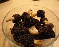 Morilles à la crème