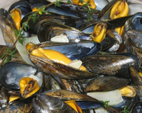 Les fameuses moules de bouchot cuites au vin blanc sec de manière très simple, un classique !