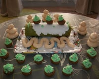 Bûche à la pistache et sa crème à la framboise