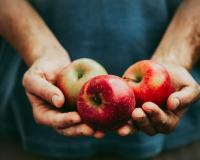 Manger une pomme chaque jour améliore-t-il vraiment votre santé ?