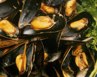 Mouclade de l'Aiguillon