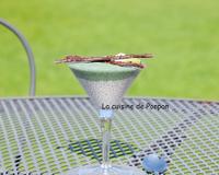 Un smoothie associé à une délicieuse crème de graines de chia au lait de coco!