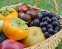 Que manger de bon en octobre ? (à part des courges)