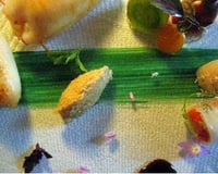 L'encornet poêlé farci d'une brandade de haddock, Tête poêlée, rouleau de légumes, Glace moutarde & herbes du jardin