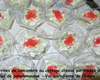 Verrine de concombre au cottage cheese parsemé de perles de pamplemousse