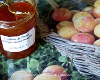 Confiture de prunes sauvages jaunes orangées