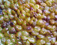 Tarte aux mirabelles de Woippy