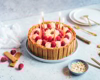 Entremets framboise noix de coco & crêpes dentelle nature