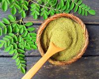 Tout savoir sur le moringa, un super aliment qui a tout bon