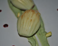 Ma Matchaleine Surprise