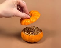 Vous allez adorer cette crème brûlée cachée dans des mini citrouilles parfaites pour l’automne