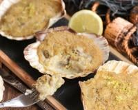 Coquilles saint-jacques