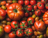 Tomate cerise ou ordinaire : lequel de ces deux fruits est le meilleur pour la santé ?
