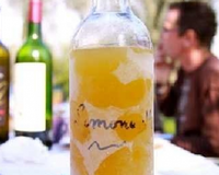 Ce cocktail se conserve pendant 1 an, si vous ne l'avez pas fini avant ! Il mélange vodka, gin et citrons. Il doit être servi glacé.