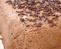 Je vous propose une recette un peu "allégée" de la Marquise (sans beurre) mais au goût de chocolat bel et bien présent!