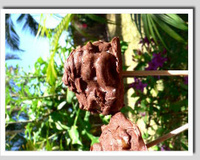 Sucette glacée chocolat abricot