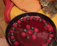 Bavarois framboise spéculoos