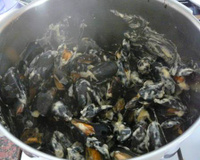 Moules façon Poulette