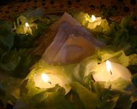 une recette estivale de samoussas à base de purée de courgette et de saumon fumé.