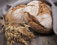 Recette de Cuisine Companion