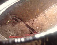 Petits flans au chocolat