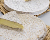 Cannelloni aux champignons gratinés au brie